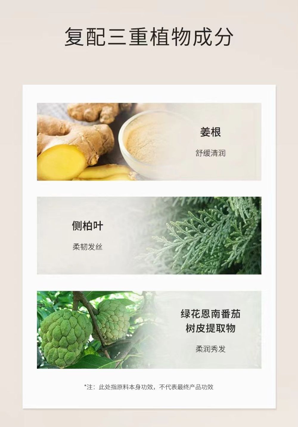 🇦🇺澳洲FicceCode菲詩蔻⏸️有機生薑(洗髮精/髮膜)