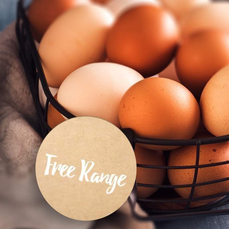 🥚Eggs2週期農場走地雞蛋團!
